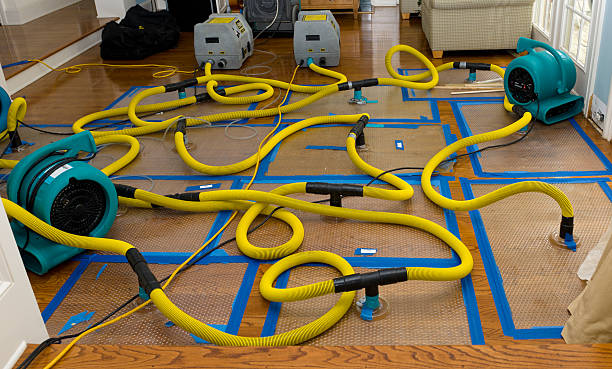 Professional Burst Pipe Water Damage technician working in Adel, IA